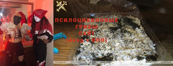 ECSTASY Вяземский