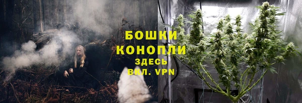 бутират Горняк