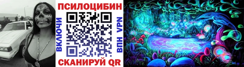 omg маркетплейс  Отрадный  Галлюциногенные грибы Psilocybe 