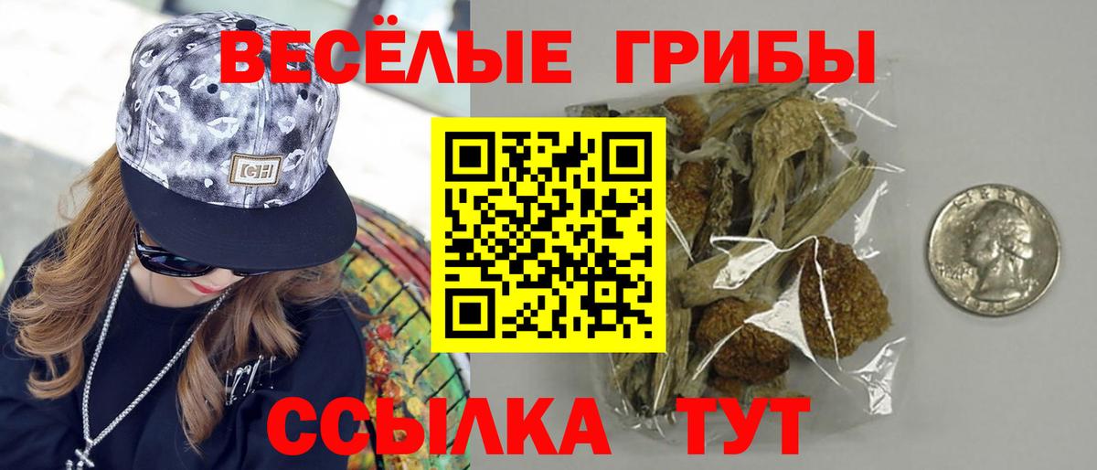 Псилоцибиновые грибы мухоморы  Псилоцибиновые грибы мицелий  Отрадный  Вход с VPN 