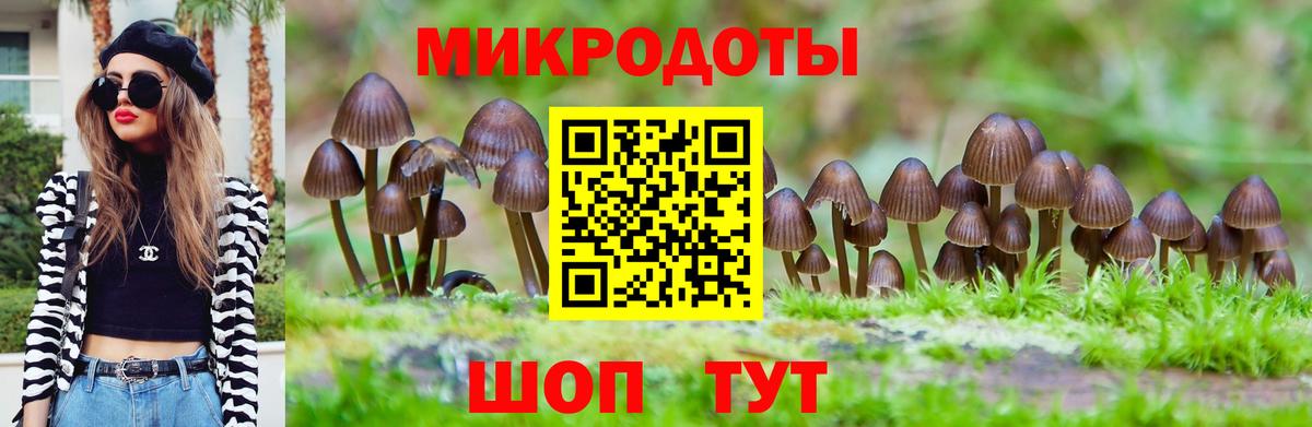 Галлюциногенные грибы ЛСД Отрадный